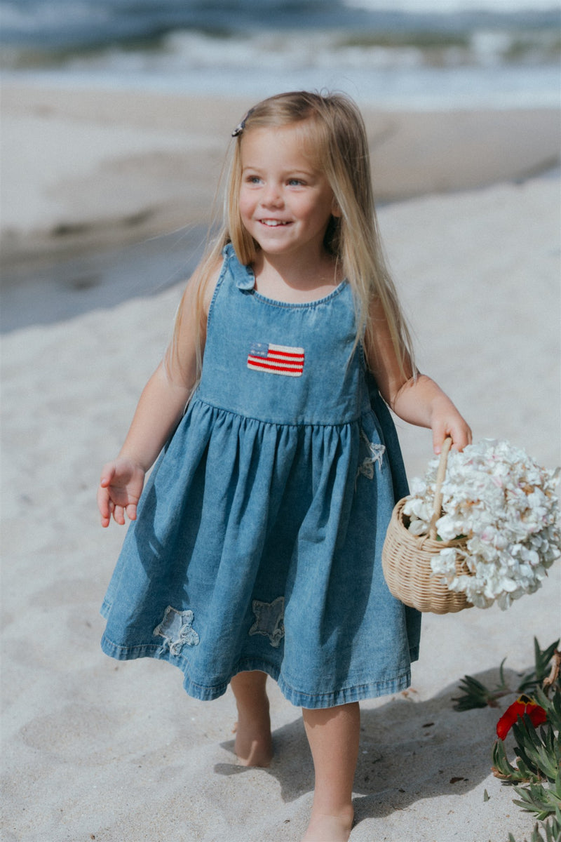 Piper Dress || Denim Stars, , Wild Wawa - All The Little Bows
