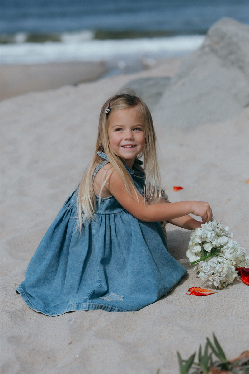 Piper Dress || Denim Stars, , Wild Wawa - All The Little Bows