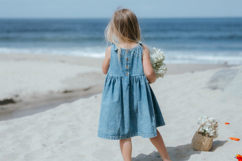 Piper Dress || Denim Stars, , Wild Wawa - All The Little Bows