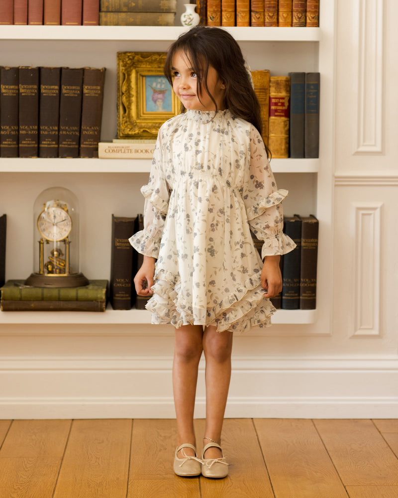 Mirabelle Dress || Winter Vines